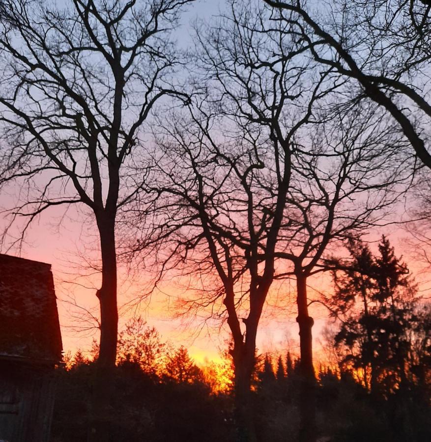 Dammann'S Hof Daire Bispingen Dış mekan fotoğraf